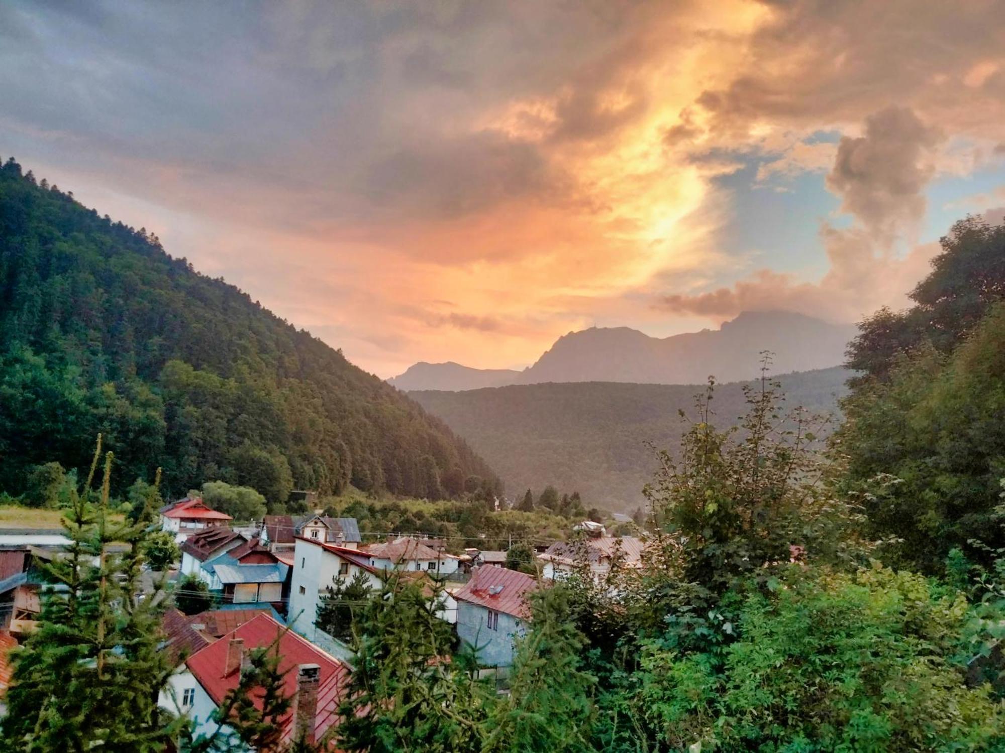 Doi Iepuri Apartment Azuga Luaran gambar